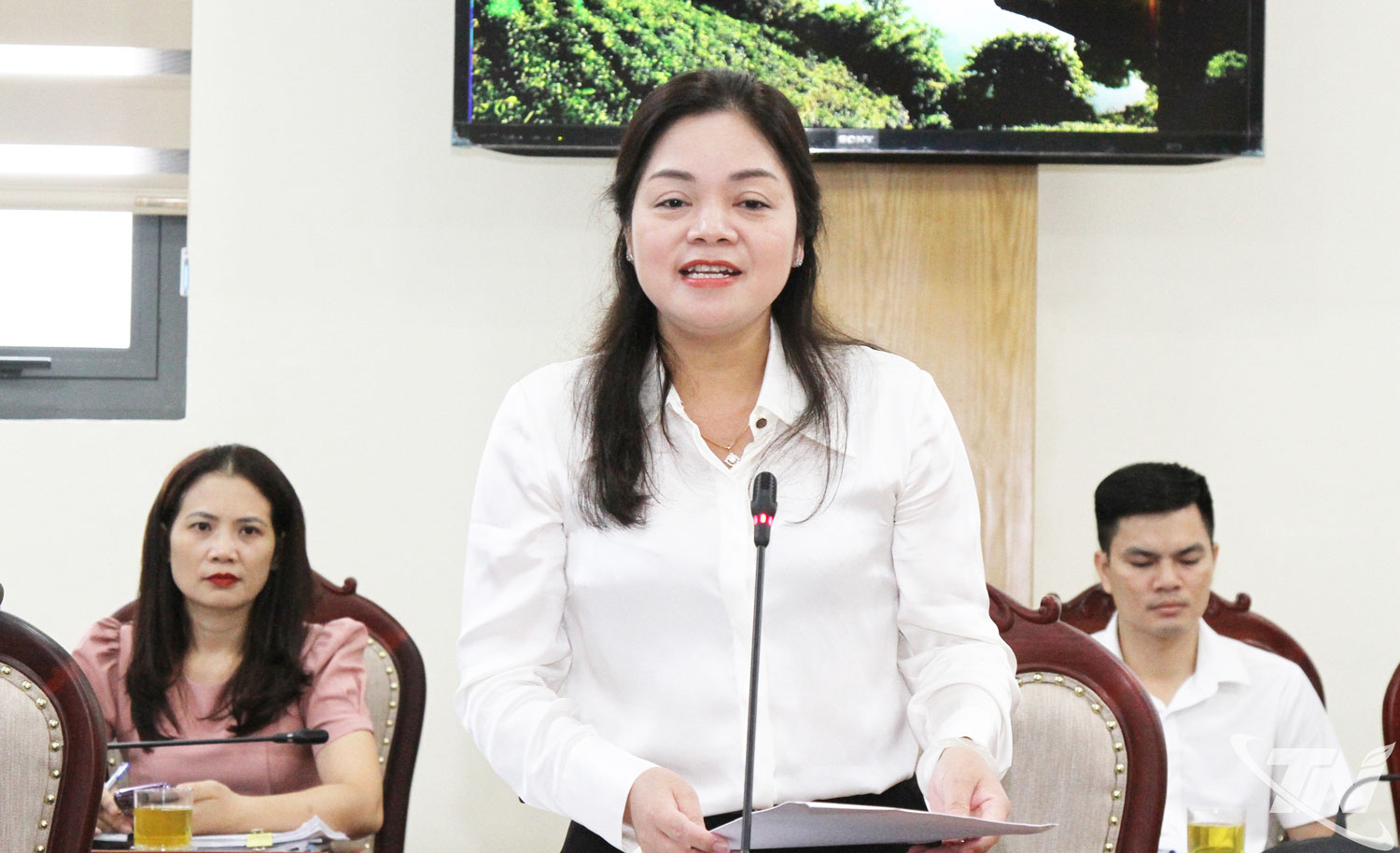 Đồng chí Nguyễn Thị Loan, PCT UBND tỉnh kiến nghị nhiều nội dung quan trọng