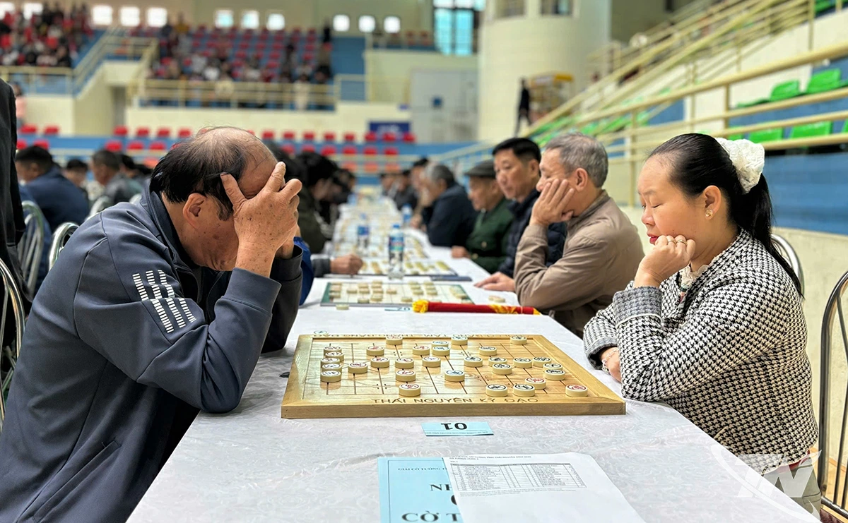 Bộ môn Cờ tướng tại giải thu hút sự tham gia của nhiều thế hệ người chơi cờ.