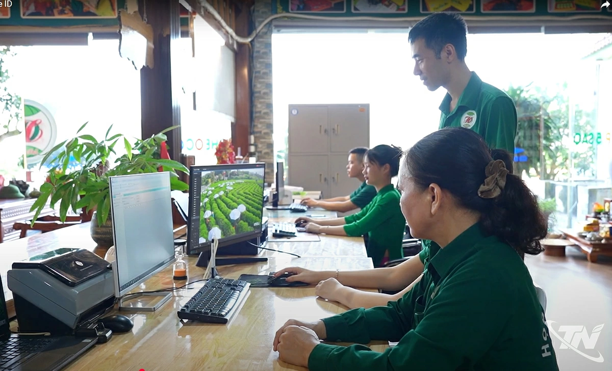 Nhờ chuyển đổi số,  môi trường làm việc  minh bạch, công  bằng, tăng sự gắn  bó của người lao  động trong HTX  chè Hảo Đạt.