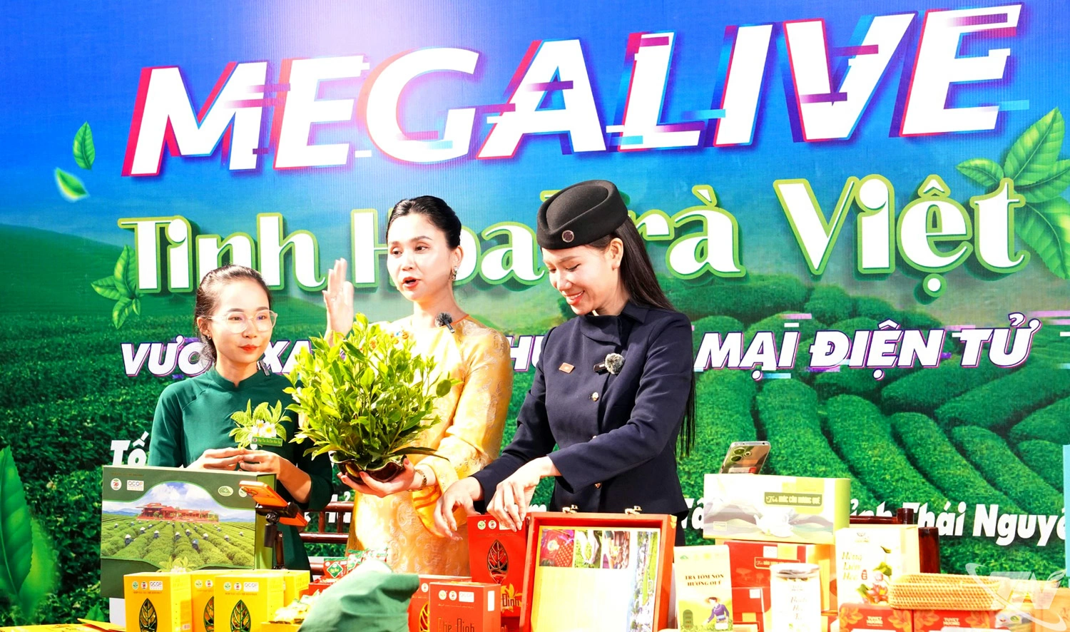 Chương trình   Megalive “Tinh   hoa trà Việt” được   tổ chức tại HTX   chè Hảo Đạt (xã   Tân Cương), kết   hợp trải nghiệm   vùng chè và   livestream bán   hàng trên nền   tảng số.