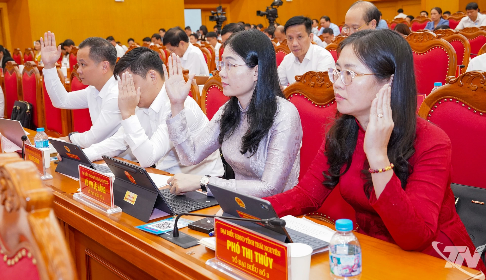 Các đại biểu biểu quyết thông qua nghị quyết tại Kỳ họp.
