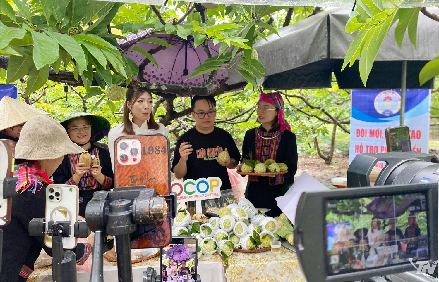 Đẩy mạnh chuyển đổi số trong tiêu thụ và bán hàng nông sản OCOP.