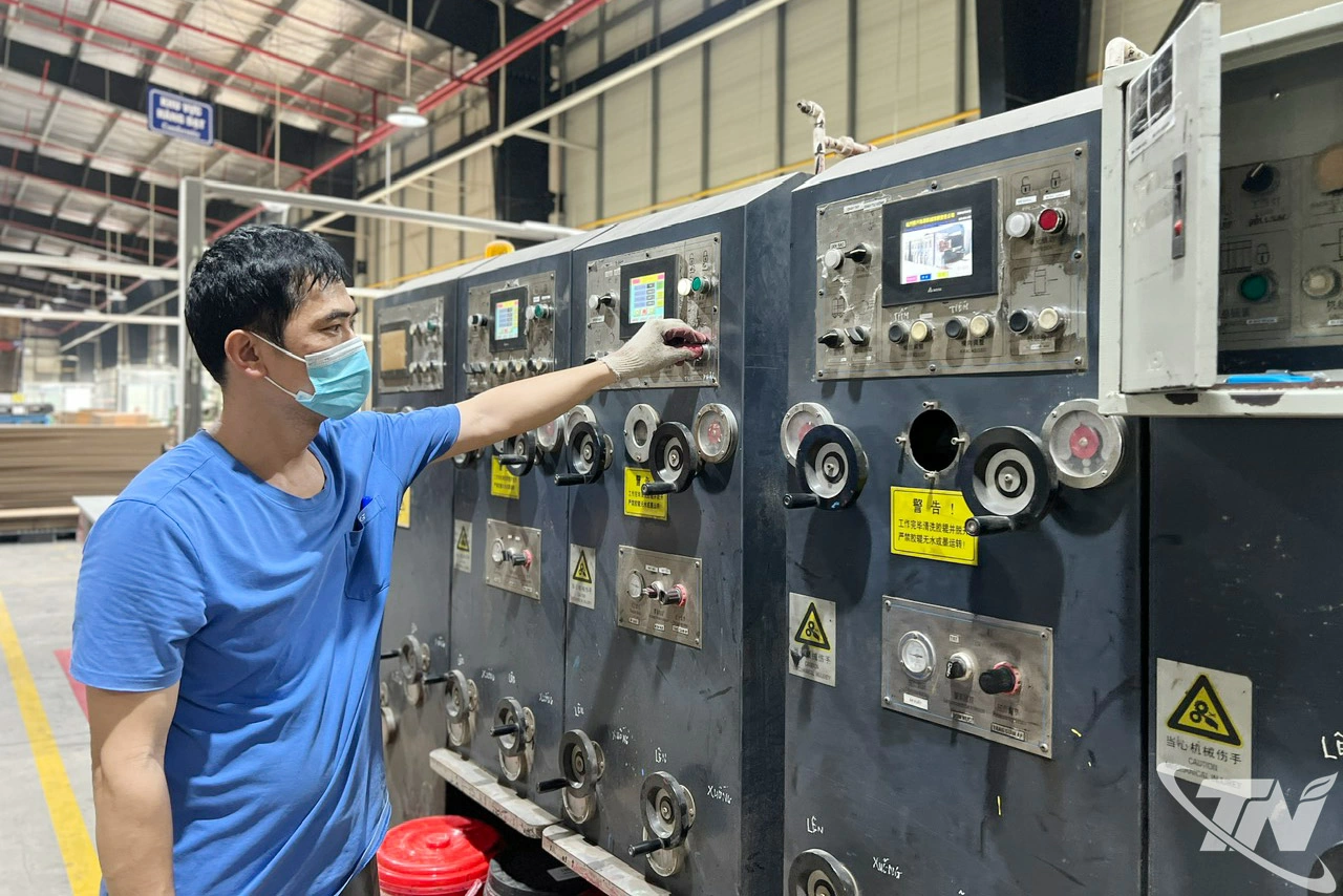 Công nhân vận hành máy móc tại nhà máy sản xuất bìa carton.