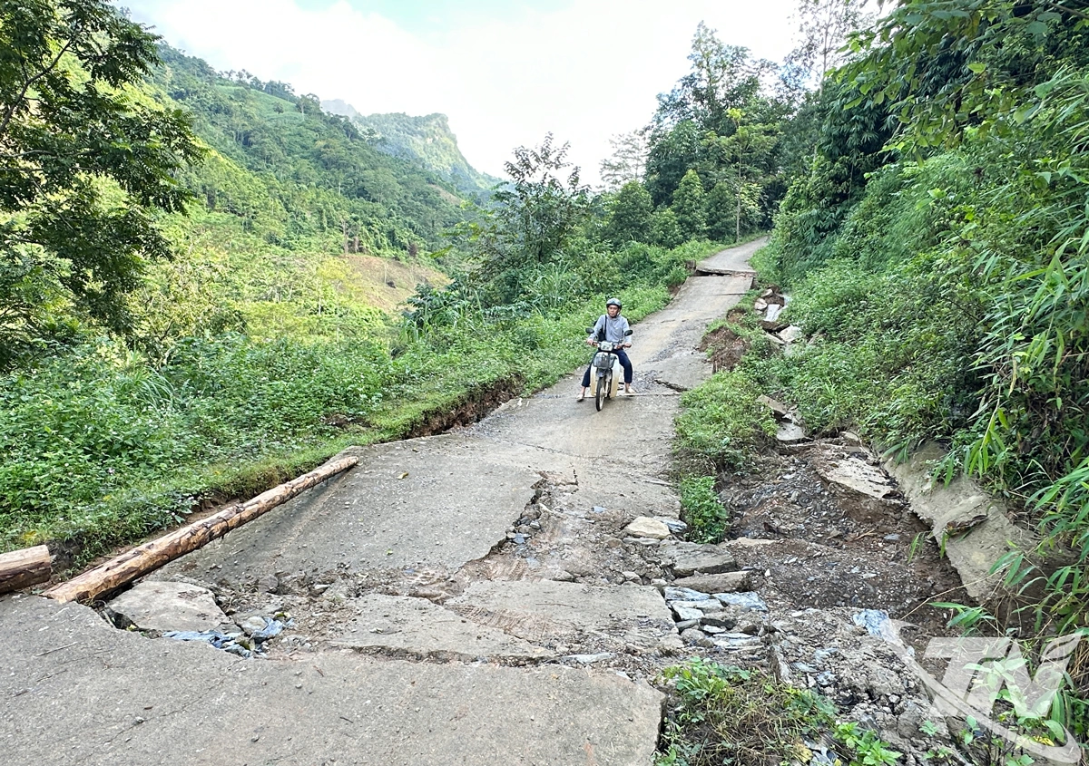 Đường vào thôn Phia Phạ bị sụt lún nhiều điểm hết sức nguy hiểm.