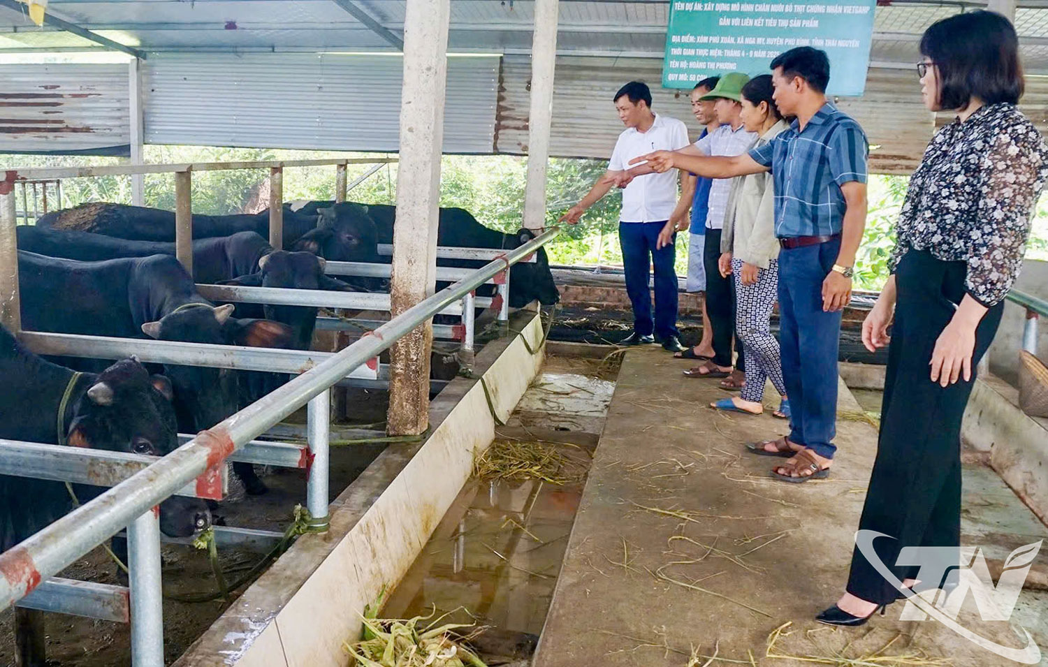 C&aacute;c ch&iacute;nh s&aacute;ch của tỉnh Th&aacute;i Nguy&ecirc;n g&oacute;p phần th&uacute;c đẩy m&ocirc; h&igrave;nh chăn nu&ocirc;i theo quy tr&igrave;nh an to&agrave;n.