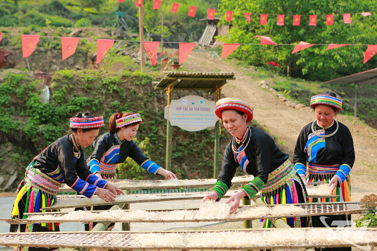 Sản phẩm miến tráng tay của Hợp tác xã Yến Dương.