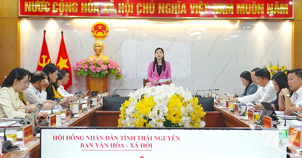 Các đại biểu dự Hội nghị thẩm tra.