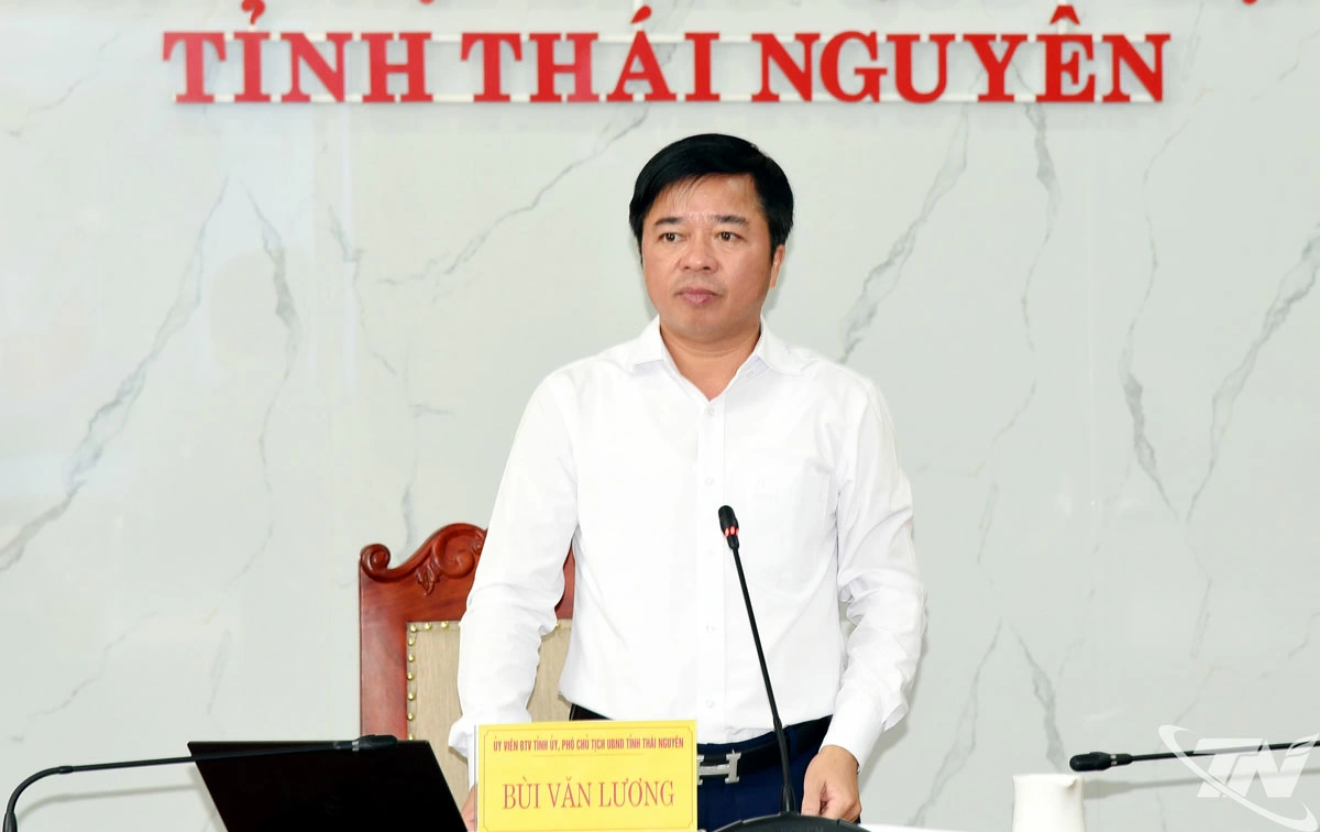 Đồng chí Phó Chủ tịch UBND tỉnh Bùi Văn Lương phát biểu kết luận Hội nghị