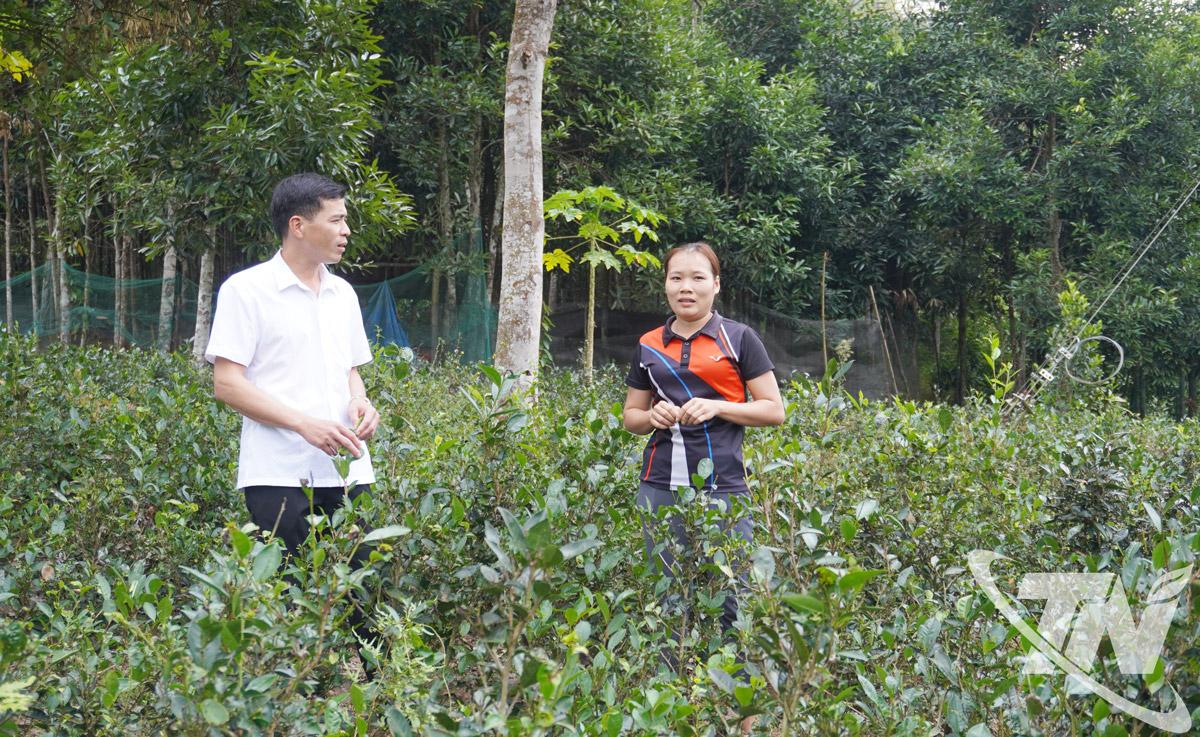 Lãnh đạo xã Yên Phong kiểm tra mô hình giảm nghèo tại thôn Nà Ngà.