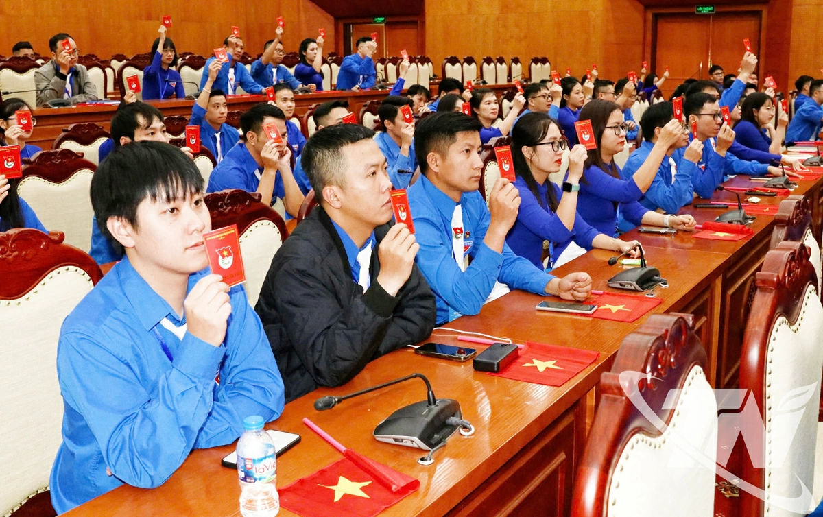 Các đại biểu biểu quyết thông qua Nghị quyết Đại hội.