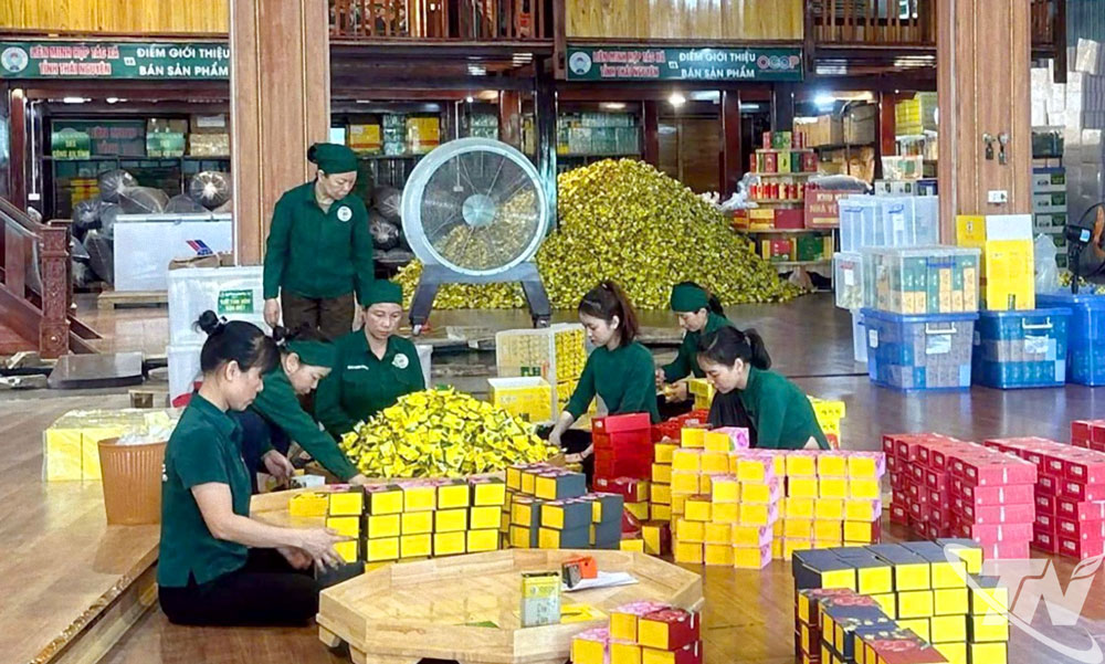 HTX chè Hảo Đạt tiên phong ứng dụng công nghệ vào sản xuất kinh doanh