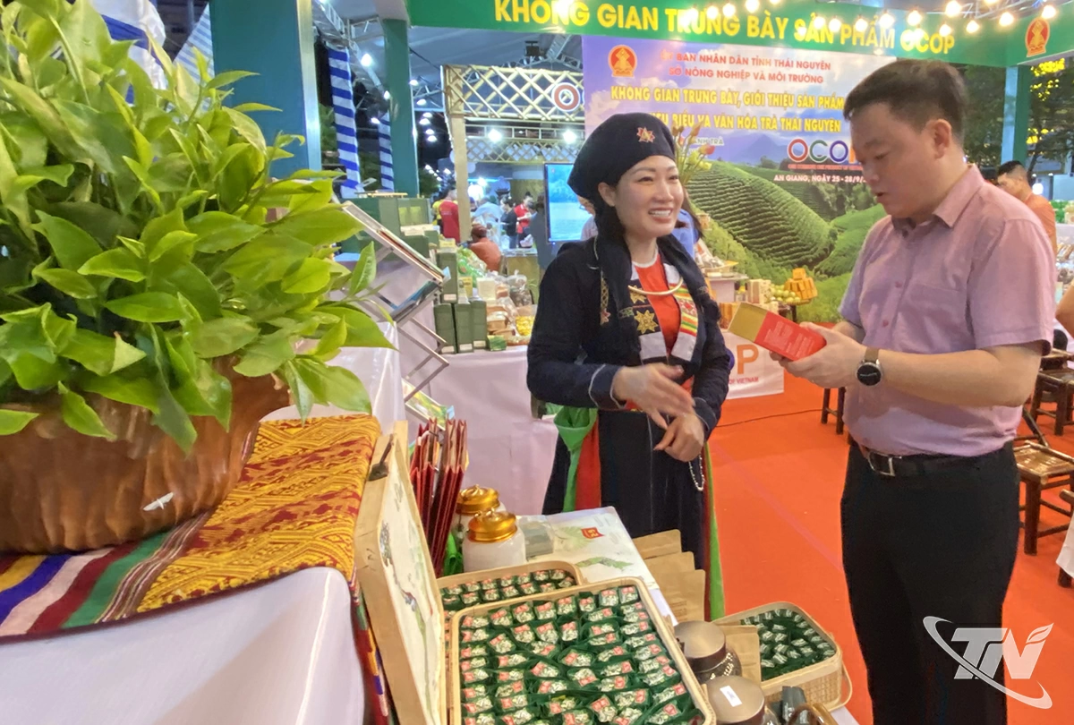 Trà là sản phẩm thế mạnh của tỉnh Thái Nguyên thu hút sự quan tâm của các đơn vị, người dân đồng bằng Sông Cửu Long.