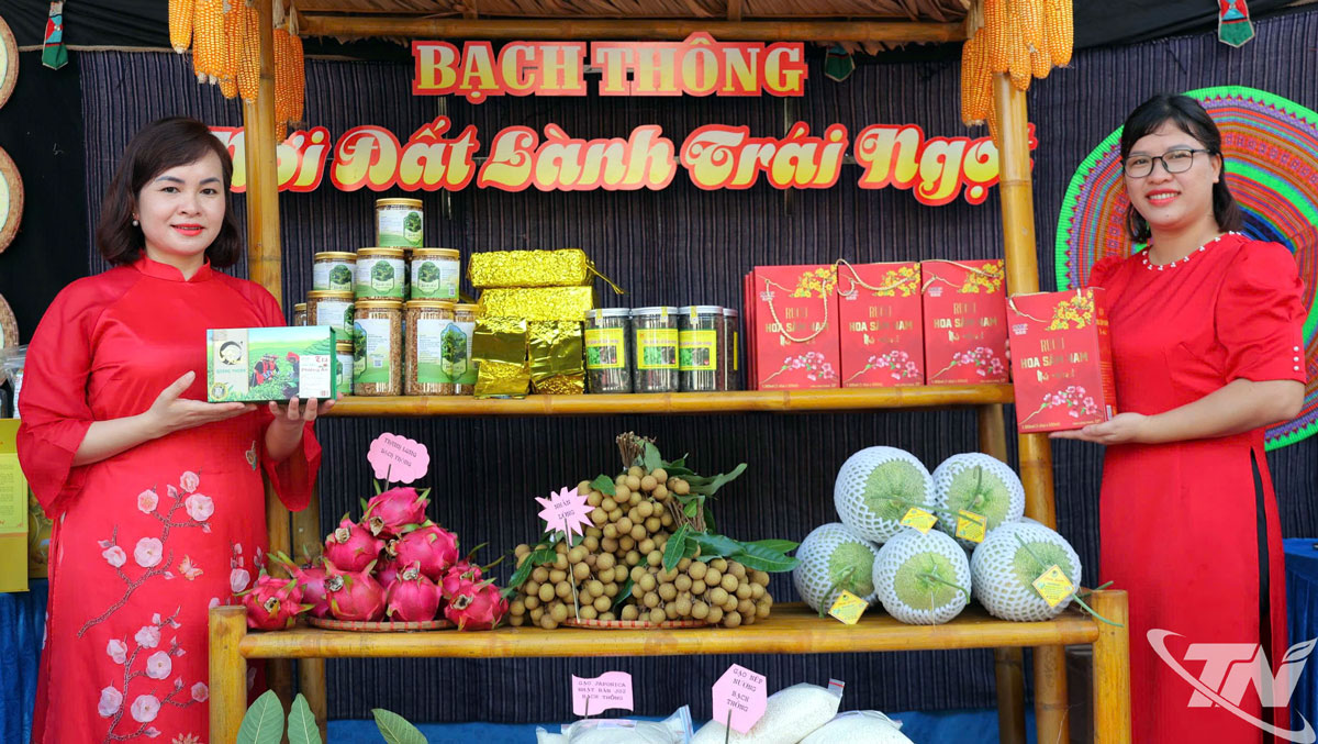 Những mô hình sản xuất hiệu quả mang lại nhiều sản phẩm nông nghiệp sạch, hữu cơ đạt tiêu chuẩn OCOP cho xã Bạch Thông