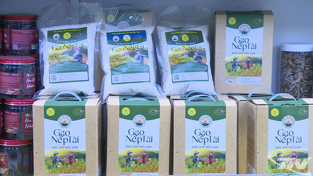 Sản phẩm gạo nếp Tài của Hợp tác xã Yến Dương đạt OCOP 4 sao.