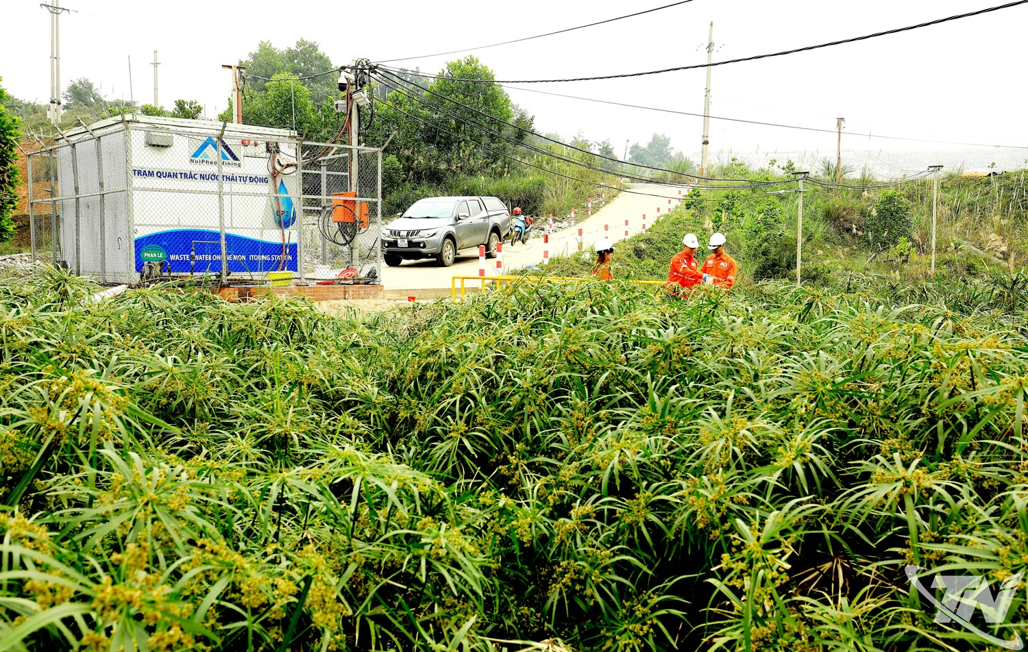 Công nhân Công ty TNHH Khai thác Chế biến khoáng sản Núi Pháo    chăm sóc cây xanh trong khuôn viên nhà máy.