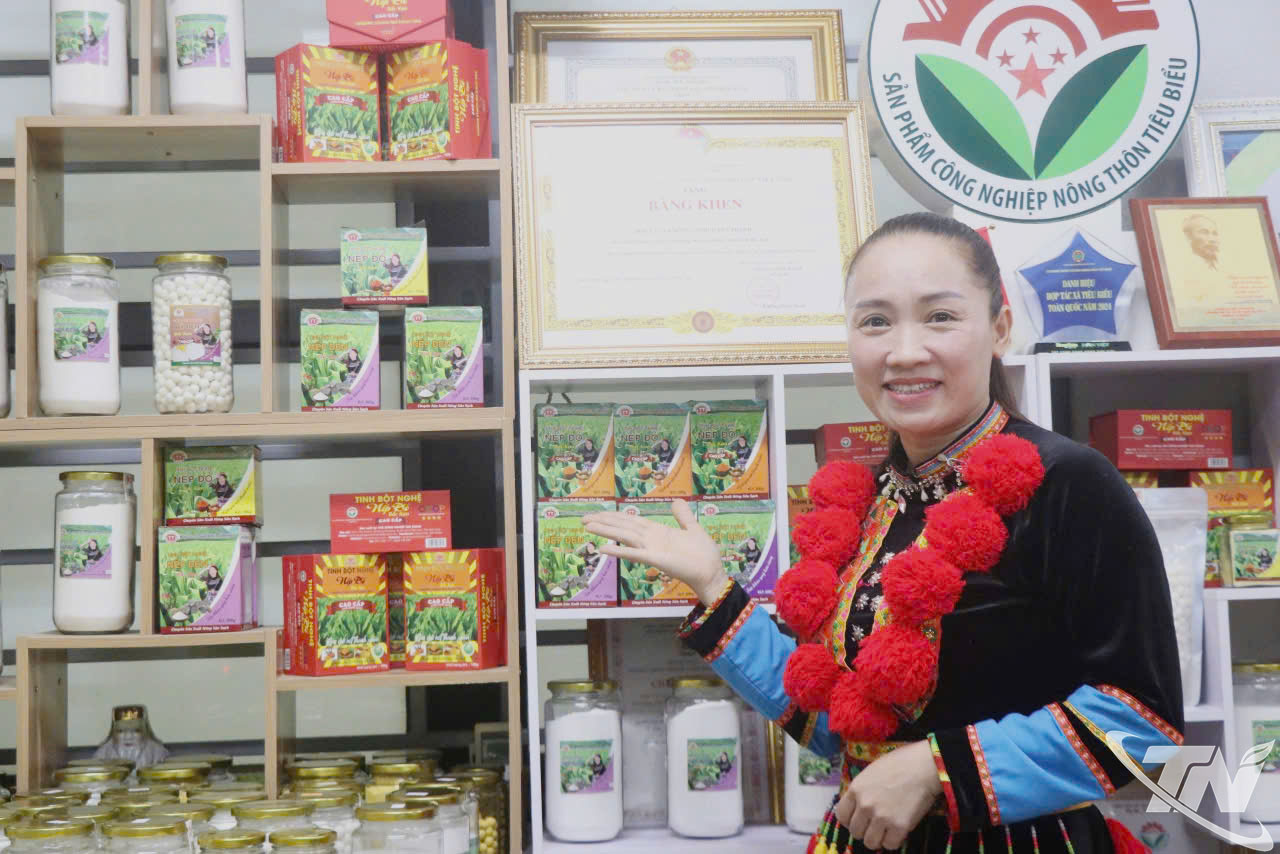 HTX Nông nghiệp Tân Thành với các sản phẩm chủ lực từ cây nghệ.