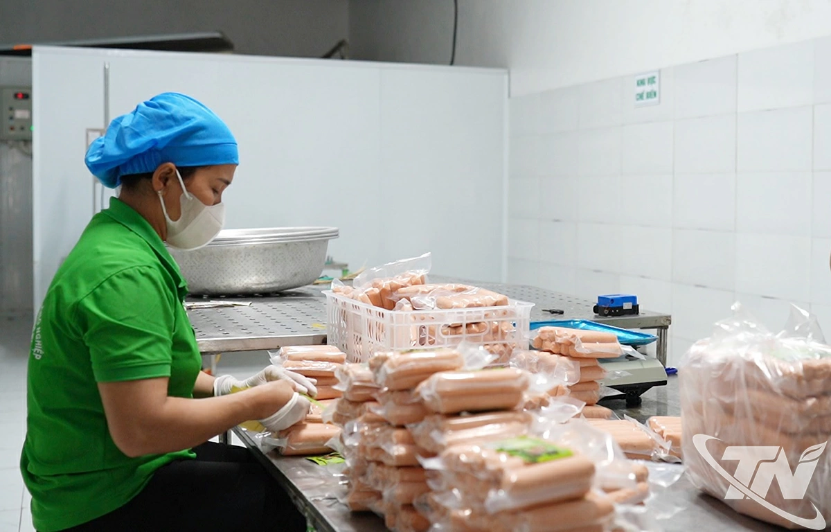 Sản phẩm xúc xích tại hợp tác xã chăn nuôi bò và dịch vụ sản xuất nông nghiệp Nga My.