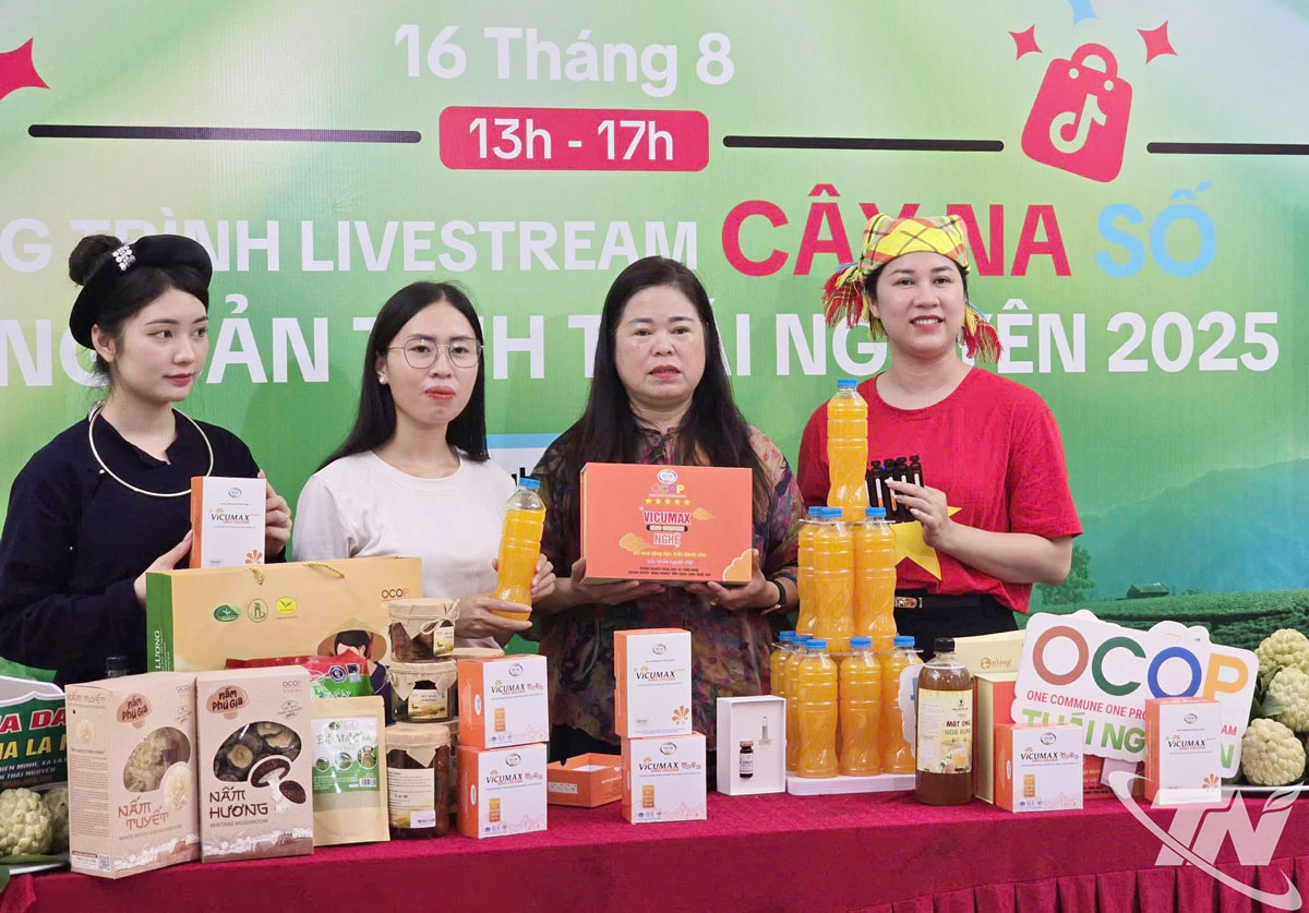 Công ty CP Công nghệ Dược liệu Bắc Hà, phường Bắc Kạn tham gia livestream “Cây Na số và nông sản tỉnh Thái Nguyên năm 2025”.