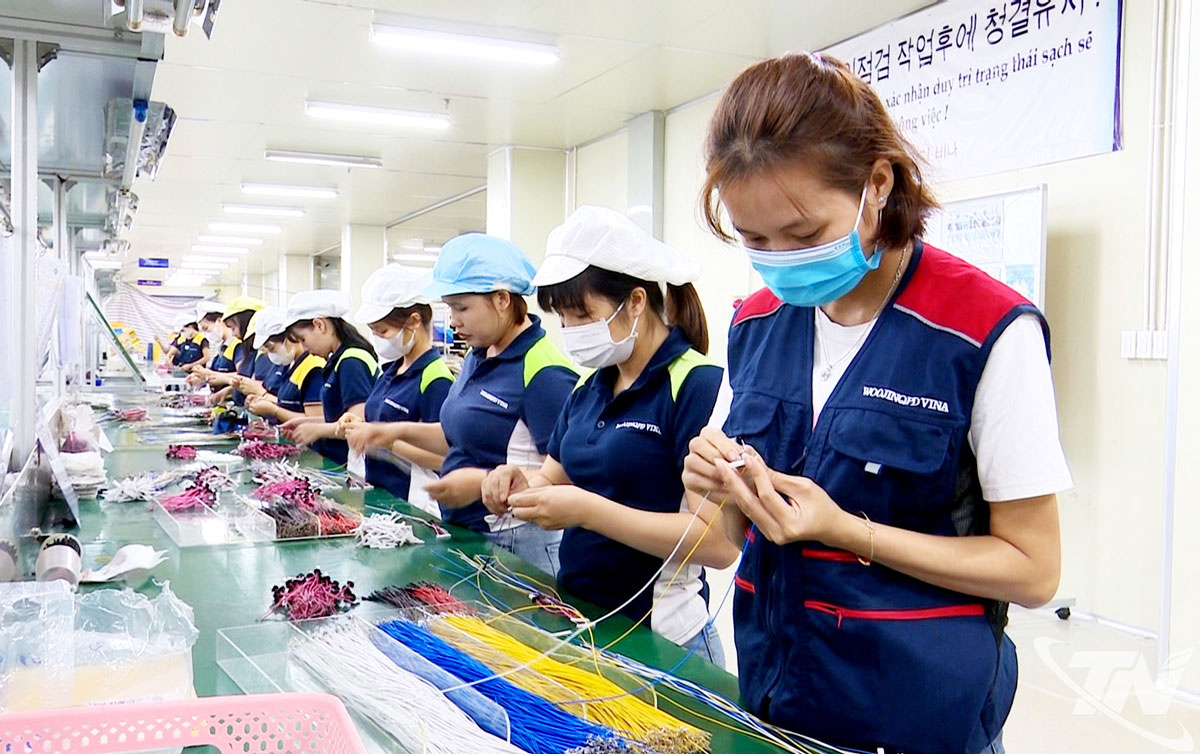Sản xuất dây dẫn điện trong xe ô tô phục vụ xuất khẩu tại Công ty TNHH Woojinqpd Vina (Khu công nghiệp Điềm Thụy).