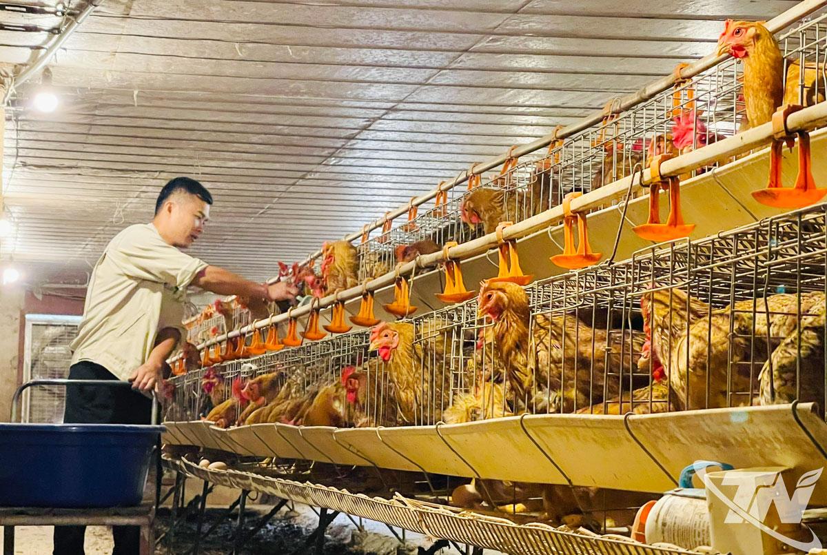 Trên địa bàn xã hiện có nhiều mô hình kinh tế trang trại, gia trại, góp phần tạo việc làm và nâng cao thu nhập cho người dân.