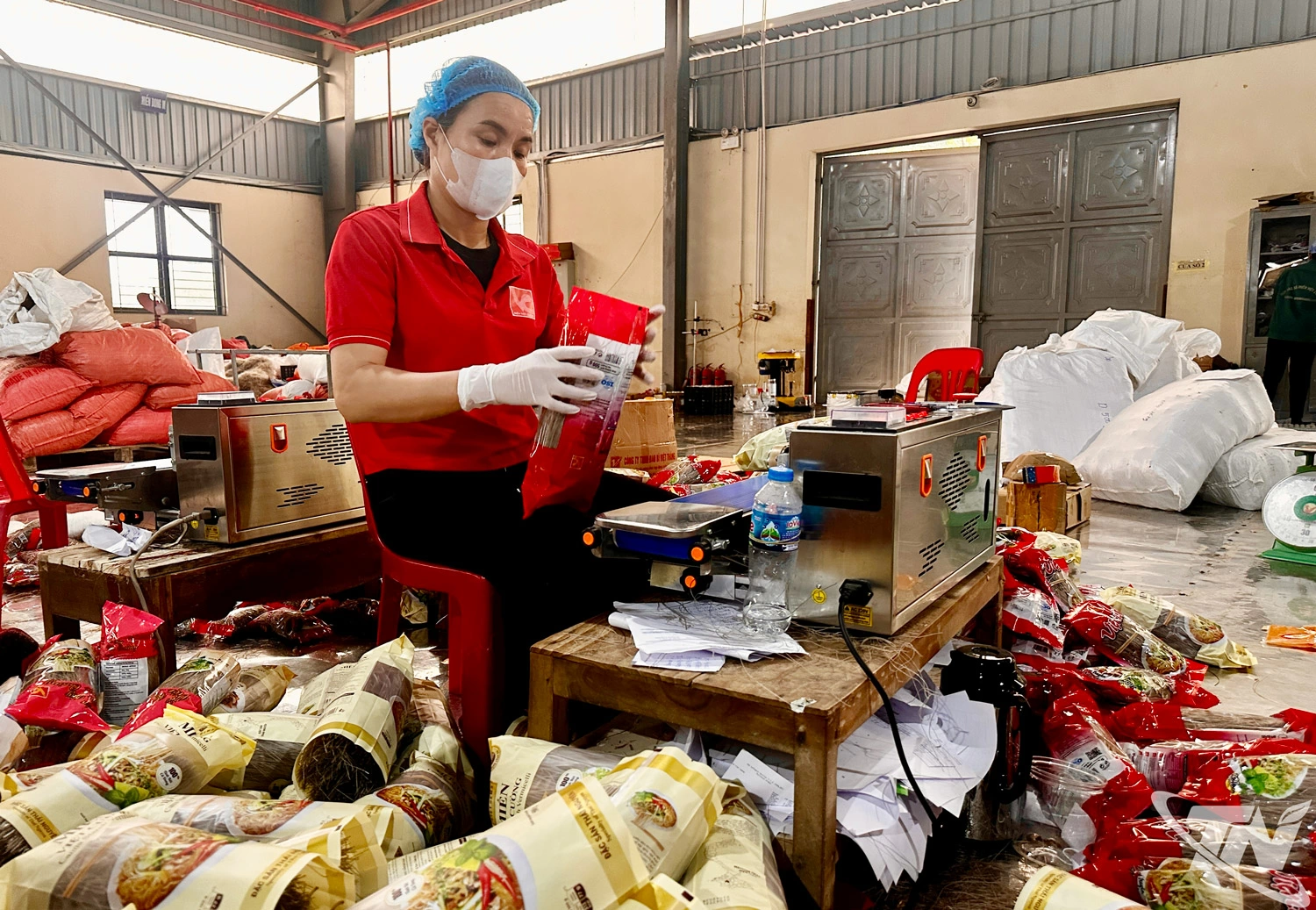 Hợp tác xã miến Việt Cường đa dạng kênh tiêu thụ, từng bước chinh phục thị trường nước ngoài.