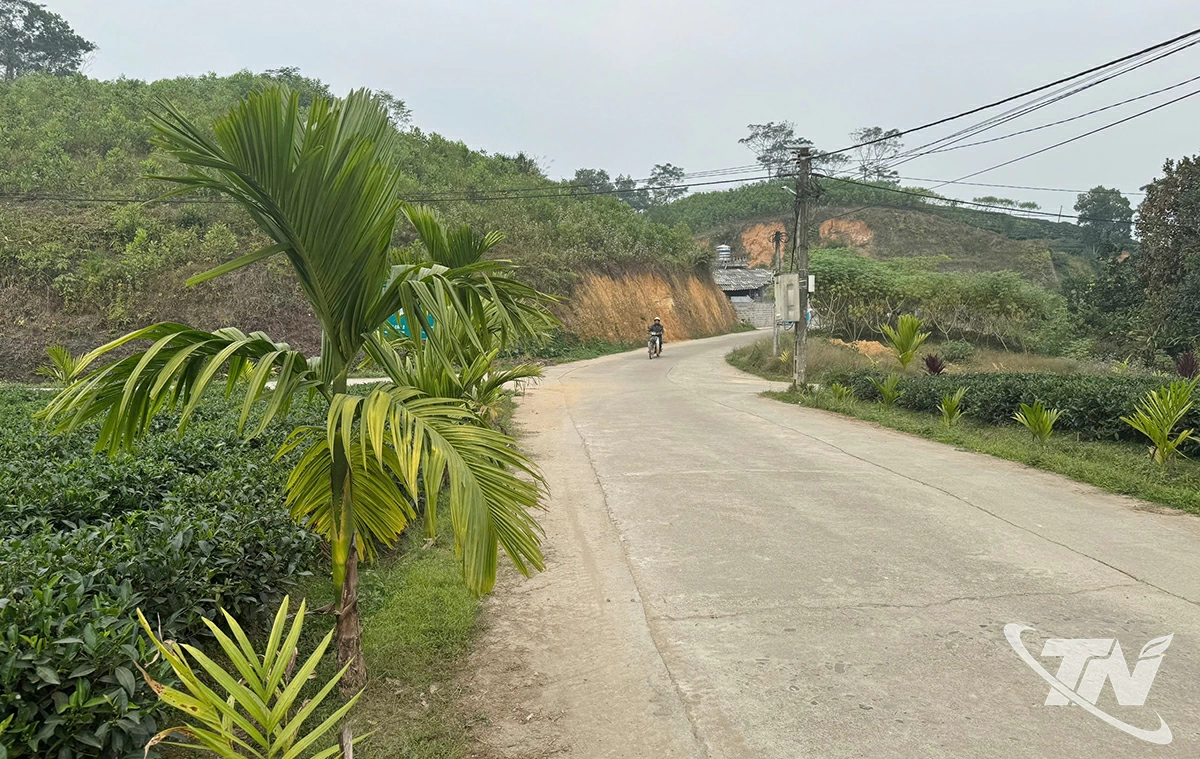 Nhờ chương trình hỗ trợ xi măng, nhiều tuyến đường nông thôn  trên địa bàn tỉnh được mở rộng, cứng hóa.