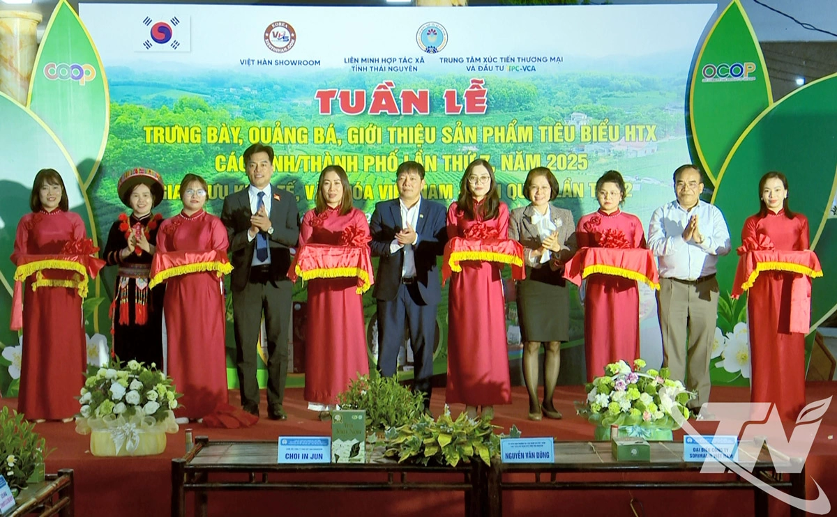 Các đại biểu cắt băng khai trương chợ trực tuyến chothainguyen.vn.