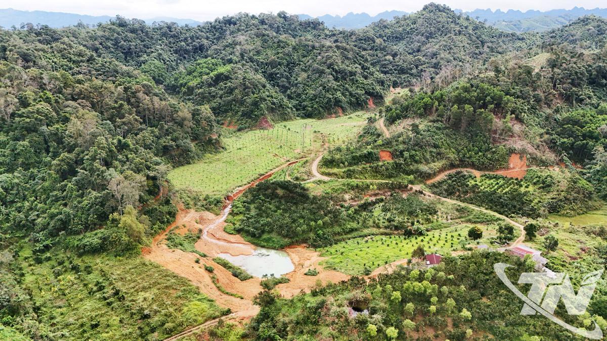 Nhiều xã ở khu vực phía Bắc của tỉnh có tiềm năng, lợi thế lớn để phát triển các loại cây ăn quả có múi