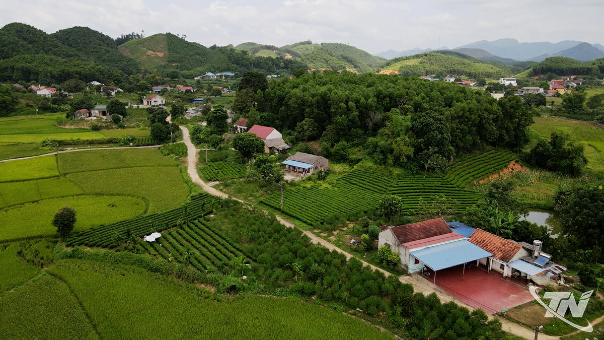 Xóm Bình Minh (xã Đồng Hỷ) với nương chè, đồng lúa và những vườn đào
