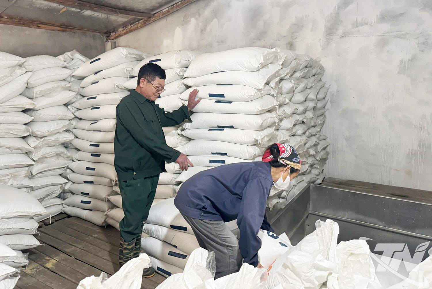 Nhiều trang trại, gia trại chăn nu&ocirc;i tại Th&aacute;i Nguy&ecirc;n sử dụng nguồn thức ăn từ c&aacute;c nh&agrave; m&aacute;y sản xuất thức ăn chăn nu&ocirc;i trong tỉnh.