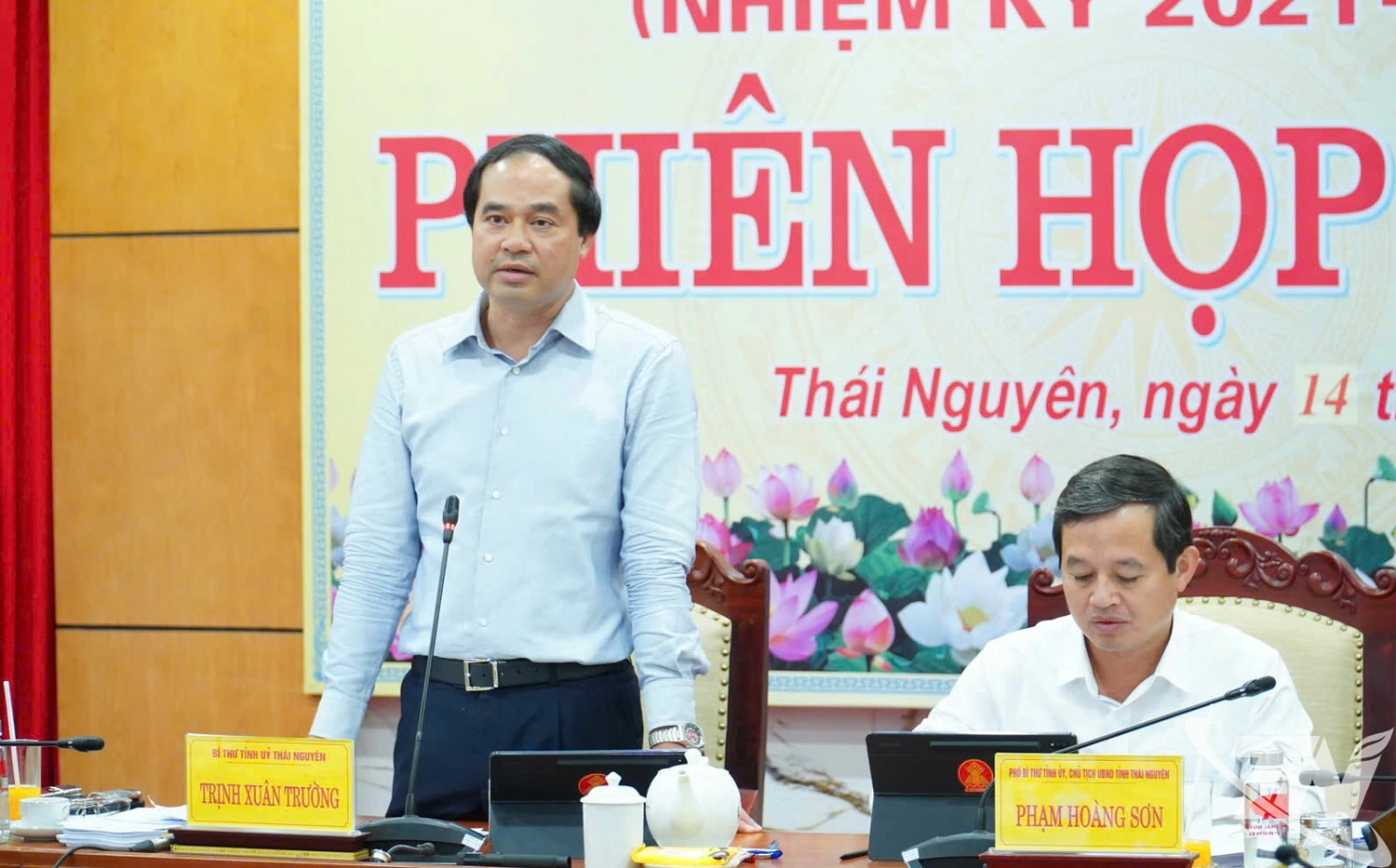 Đồng chí Trịnh Xuân Trường, Bí thư Tỉnh ủy, phát biểu chỉ đạo tại phiên họp.