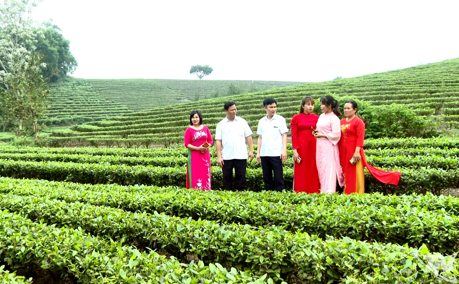 Lãnh đạo Sở Nông nghiệp và Môi trường   tỉnh Thái Nguyên thăm làng nghề   sản xuất chè ở xã Phú Lạc.
