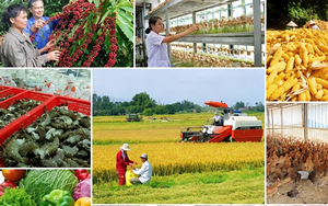 Đắk Lắk thúc đẩy nghiên cứu, phát triển và ứng dụng sản phẩm công nghệ chiến lược - Ảnh 7.