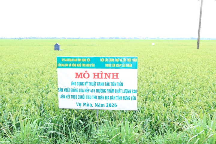 VietGAP 2026 có gì mới để nâng chất lượng nông sản Việt? - Ảnh 1.