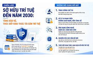 Hoàn thiện Luật Sở hữu trí tuệ, bảo đảm liên tục các chính sách cải cách - Ảnh 6.