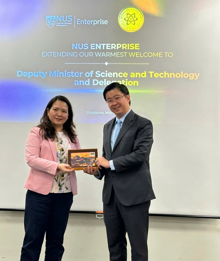 Việt Nam - Singapore trao đổi định hướng hỗ trợ doanh nghiệp công nghệ số và đổi mới sáng tạo- Ảnh 2.