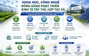 Lâm Đồng giúp cán bộ cấp xã đưa vấn đề thực tiễn thành bài toán đổi mới sáng tạo - Ảnh 8.