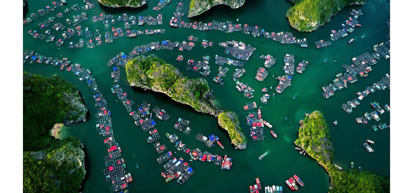 Phát triển kinh tế biển bằng sức mạnh khoa học và công nghệ hiện đại- Ảnh 1. Phát triển kinh tế biển bằng sức mạnh khoa học và công nghệ hiện đại- Ảnh 1.