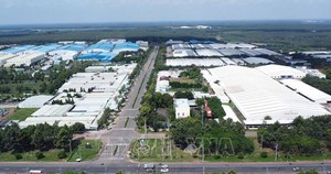 Thúc đẩy ứng dụng hiệu quả, an toàn năng lượng nguyên tử trong y tế- Ảnh 7.