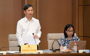 Hoàn thiện Luật Sở hữu trí tuệ, bảo đảm liên tục các chính sách cải cách - Ảnh 3.