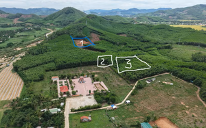 Công nghệ địa vật lý mở hướng tìm kiếm hài cốt liệt sĩ- Ảnh 5.