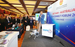 Việt Nam - Australia thúc đẩy hợp tác chiến lược về công nghệ cao, kinh tế số và trí tuệ nhân tạo - Ảnh 4.