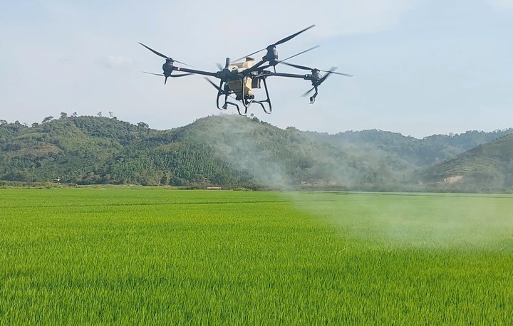 Đắk Lắk thúc đẩy nghiên cứu, phát triển và ứng dụng sản phẩm công nghệ chiến lược - Ảnh 2.