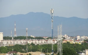 Sửa đổi, bổ sung thủ tục hành chính lĩnh vực công nghệ thông tin, điện tử- Ảnh 2.