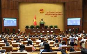 Đưa AI vào vận hành doanh nghiệp, kết nối công nghệ với thị trường- Ảnh 6.