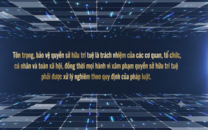 Hoàn thiện Luật Sở hữu trí tuệ, bảo đảm liên tục các chính sách cải cách - Ảnh 7.