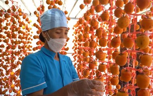 Hưng Yên mở rộng chỉ dẫn địa lý cho sản phẩm nhãn lồng- Ảnh 14.