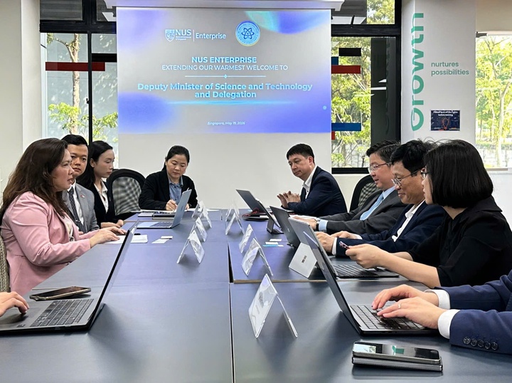 Việt Nam - Singapore trao đổi định hướng hỗ trợ doanh nghiệp công nghệ số và đổi mới sáng tạo- Ảnh 1.