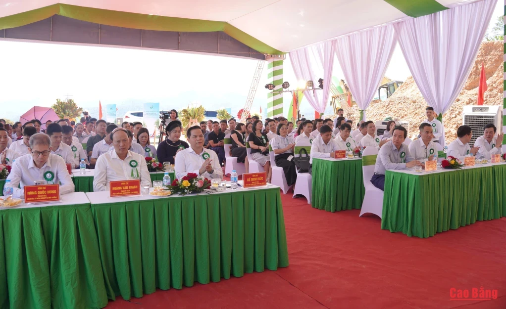 Các đại biểu tham dự buổi lễ khởi công Dự án Nhà máy sản xuất phôi tre ép công nghiệp và các sản phẩm từ tre tại xã Bạch Đằng.