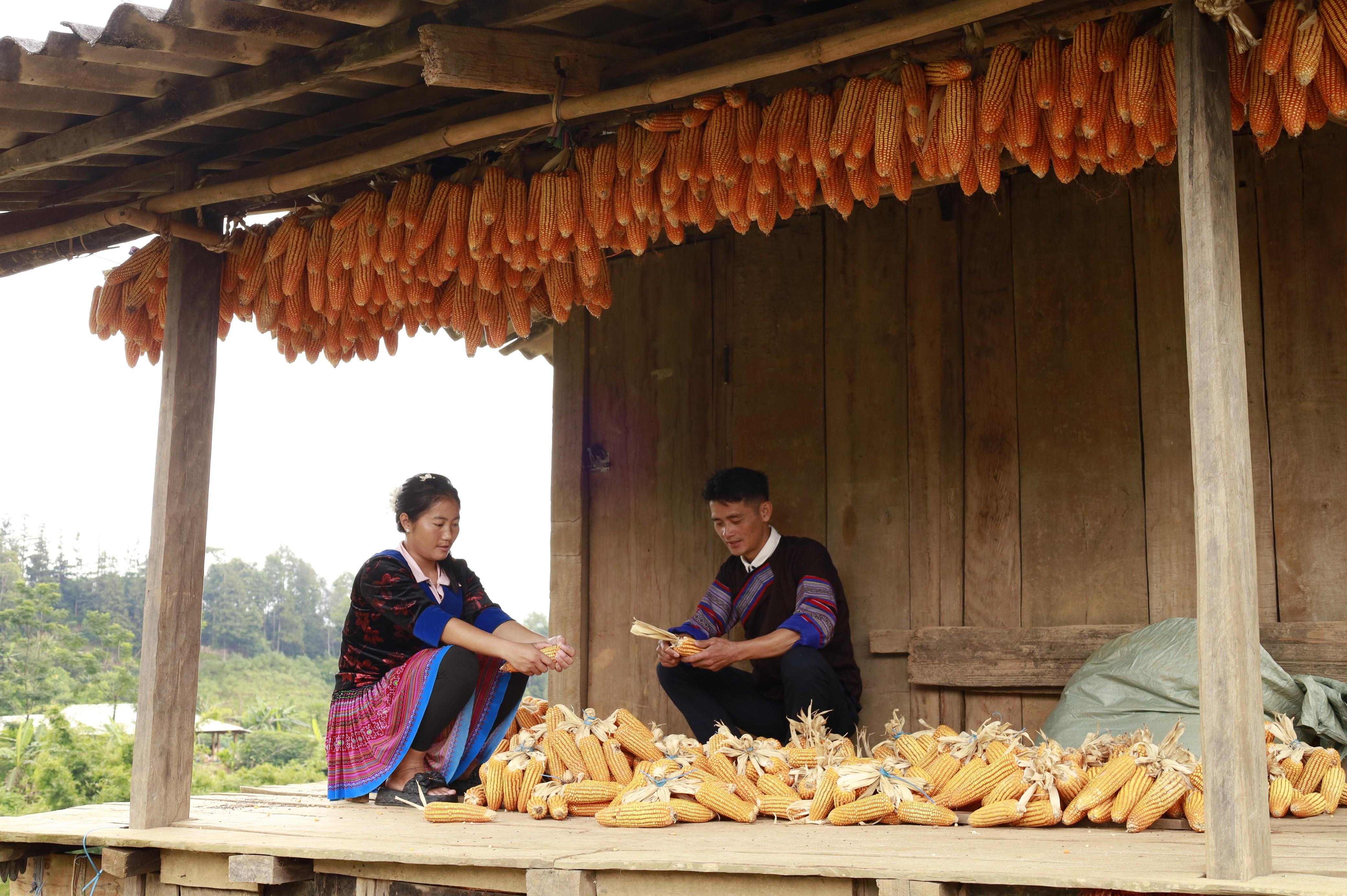 Cuộc sống người dân ấm no. mg-8365.jpg